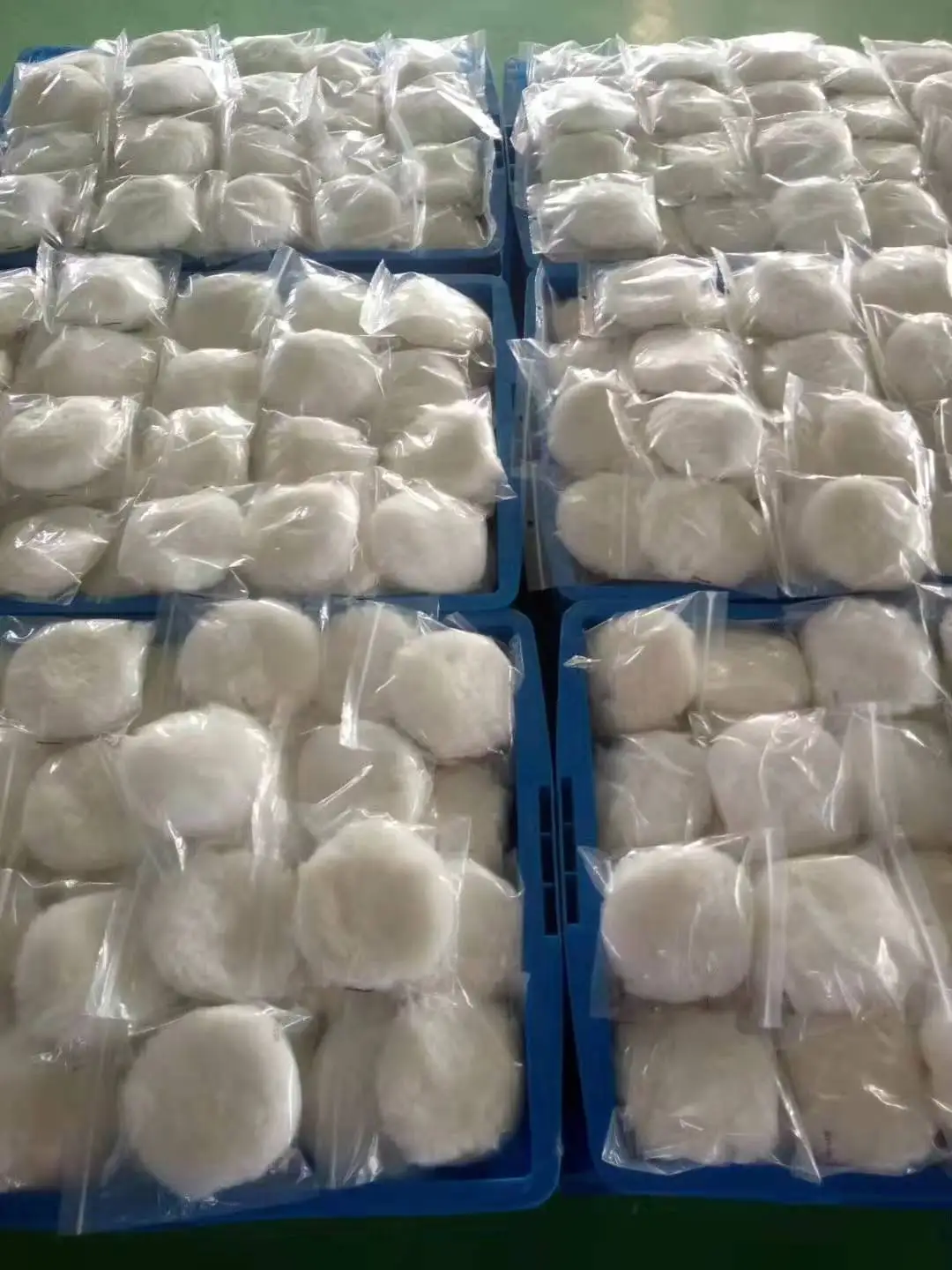 XT-09   not packed.jpg