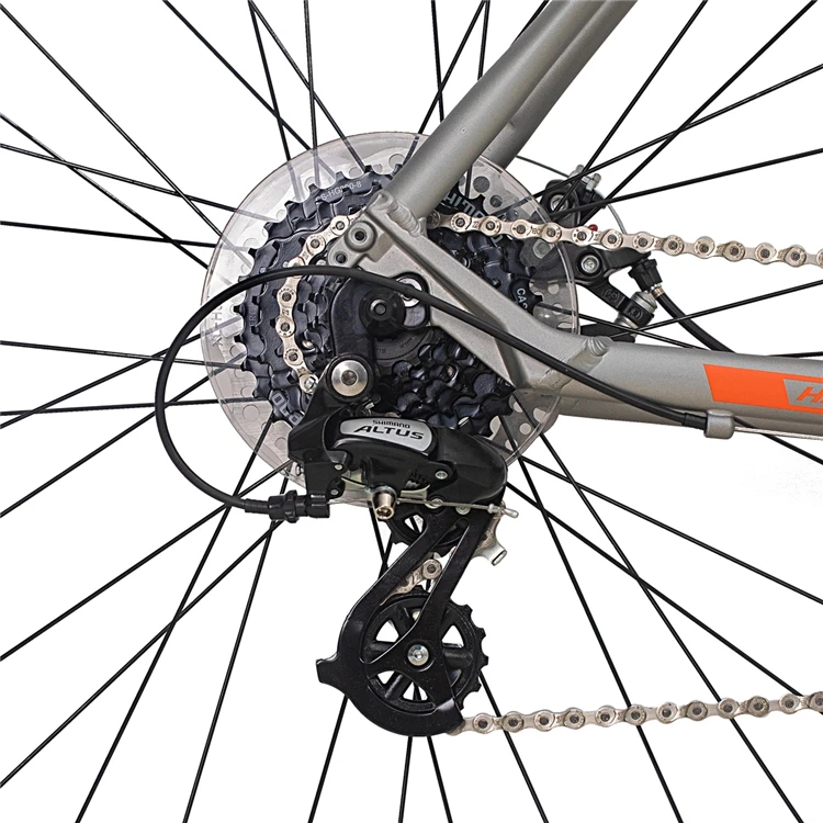 bike (7).jpg
