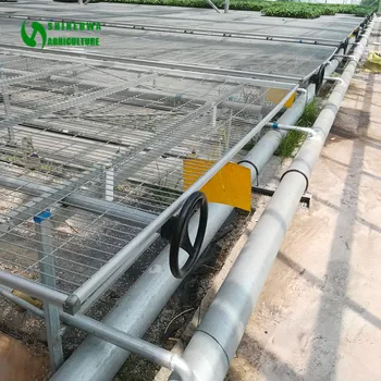 Garden Seedling Bench Glass Greenhouse Nursery System Buy