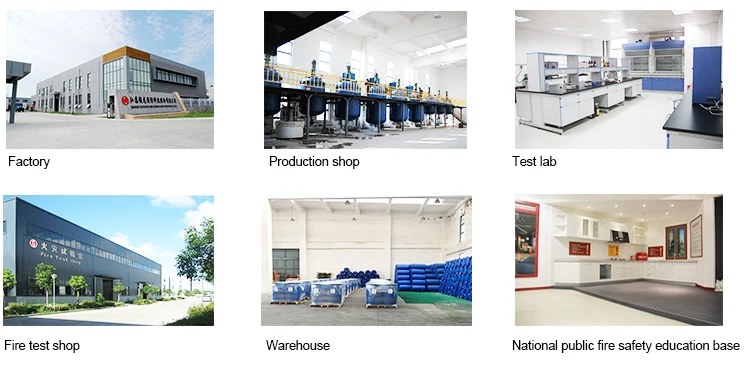 750 800 Company-3.jpg