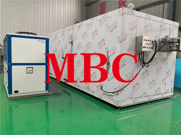 frozen french friesTunnel Quick Freezer.jpg