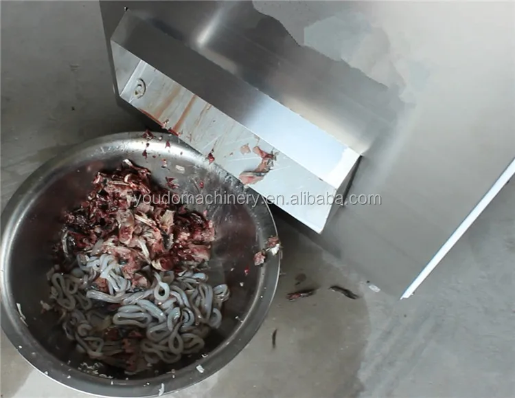 squid cutter machine (6).JPG