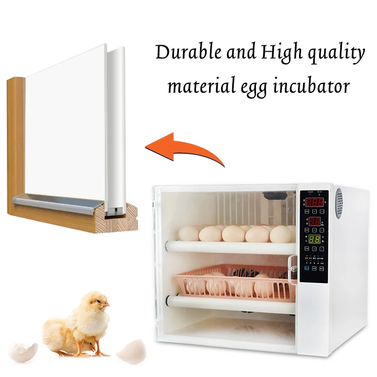 60egg incubator-20.jpg