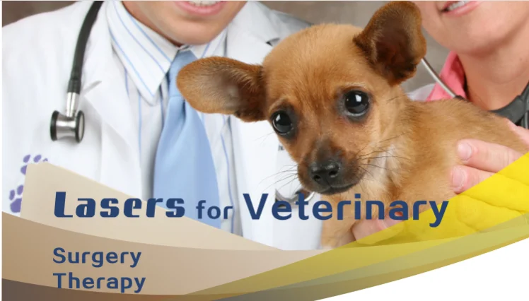 class 4 laser for sale