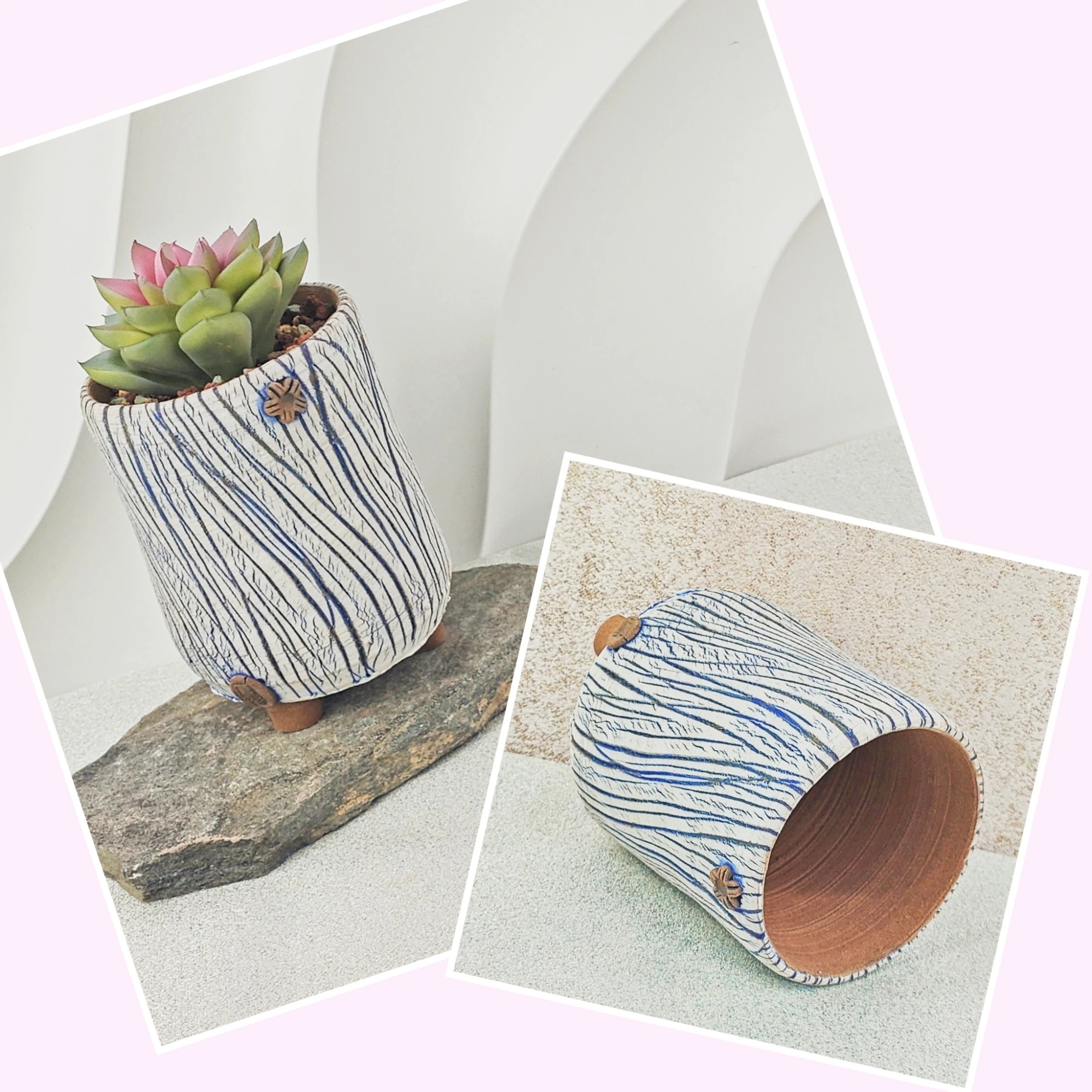 Wholesale Modern Home Garden Tabletop Decoration Succulent Pot Custom