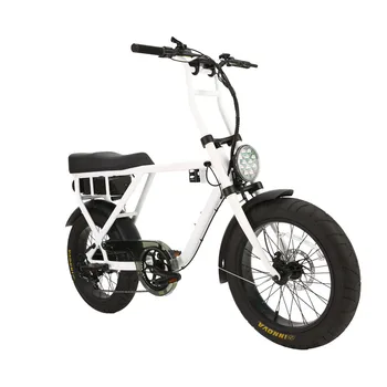 two person electric bike