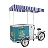 Factory OEM New Design Electric Ice Cream CART With Water Pump System