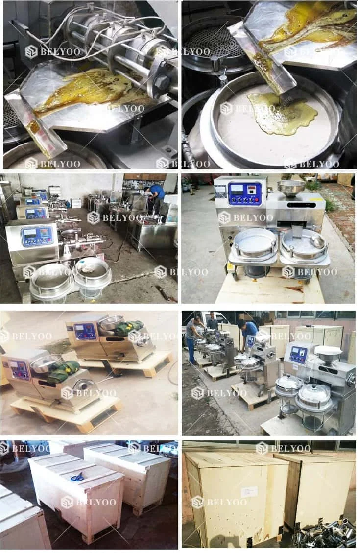 商用自动核桃油精炼机核桃油压榨机