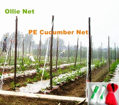 PE Cucumber net 1.jpg