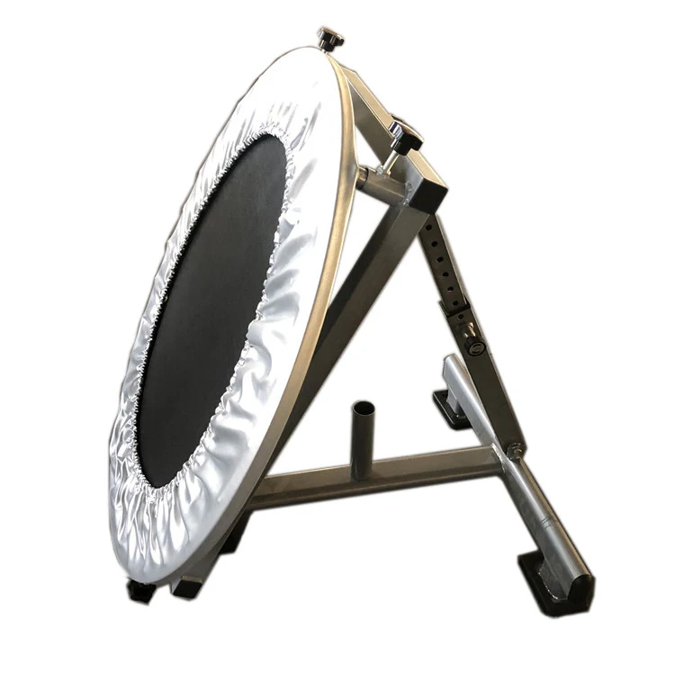 Wholesale Professional Portable Adjustable Gymnastic Fitness Equipment