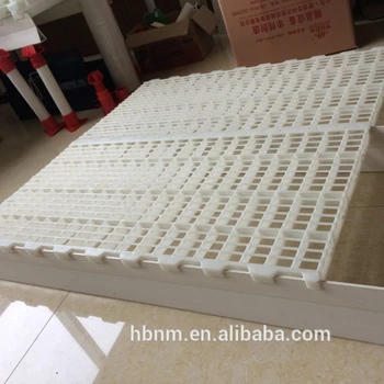 Goldenest Broiler Plastic Slatted Floor Cheap Price Chicken