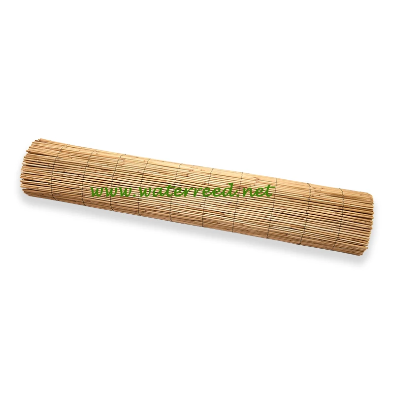 reed fence 4.jpg