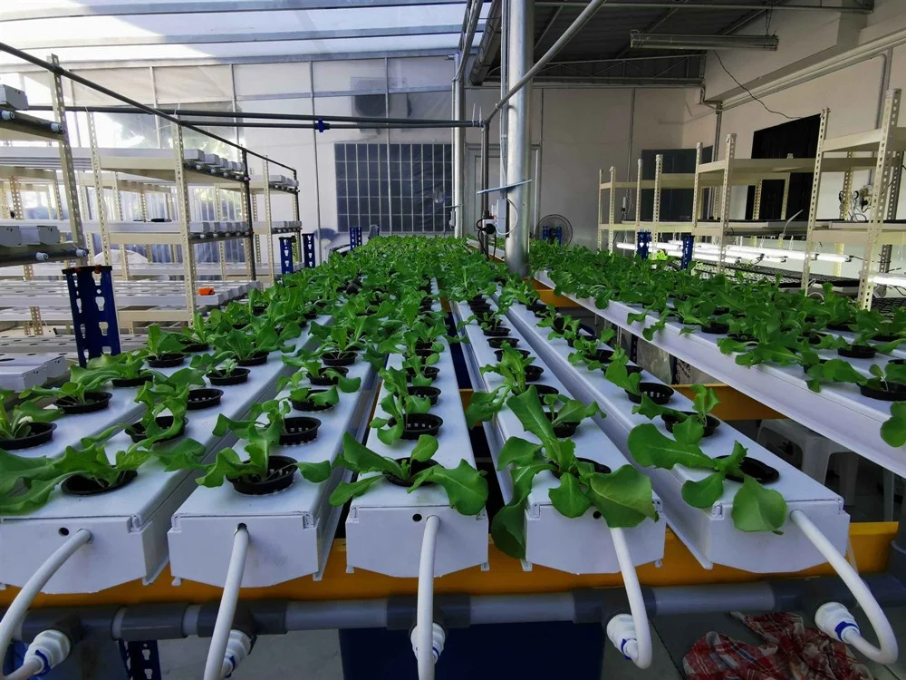 idoo hydroponics growing system