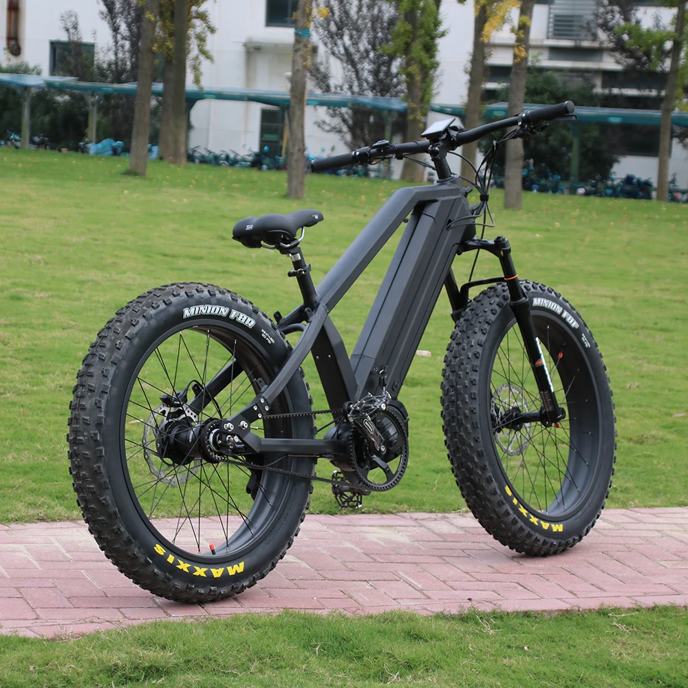 2021 Belt Drive Dual Batteries Bafang Ultra Motor Ebike Manufacture
