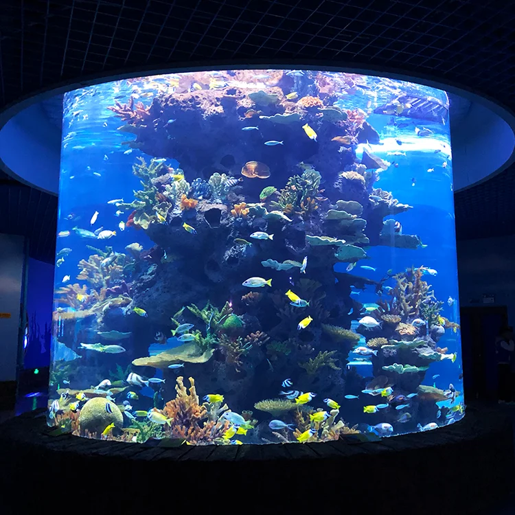 Plastic Aquarium Large Acrylic Fish Tank Buy Plastic Aquarium Large Acrylic Fish Tank Thick Acrylic Sheet Virgin Pmma Acrylic Sheets Product On Alibaba Com