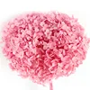 High Quality Long lasting preserved hydrangea stem Wholesale Single long stemmed stabilised preserved hydrangea