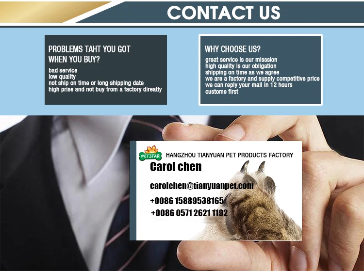 contact