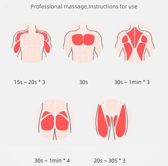 24V 2500mAh 20 speed Handhold Coreless Best Muscle Fascia Massager Percussion Massage Gun Amazon