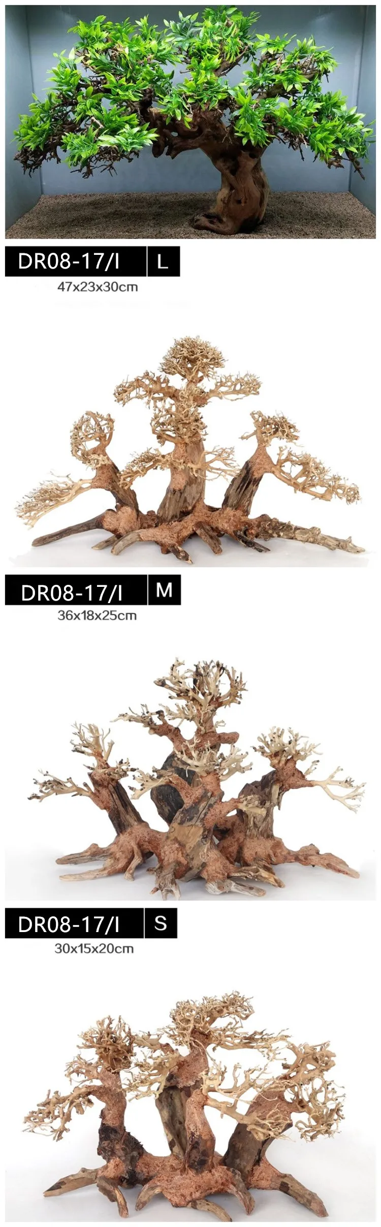 DR08-17I .jpg