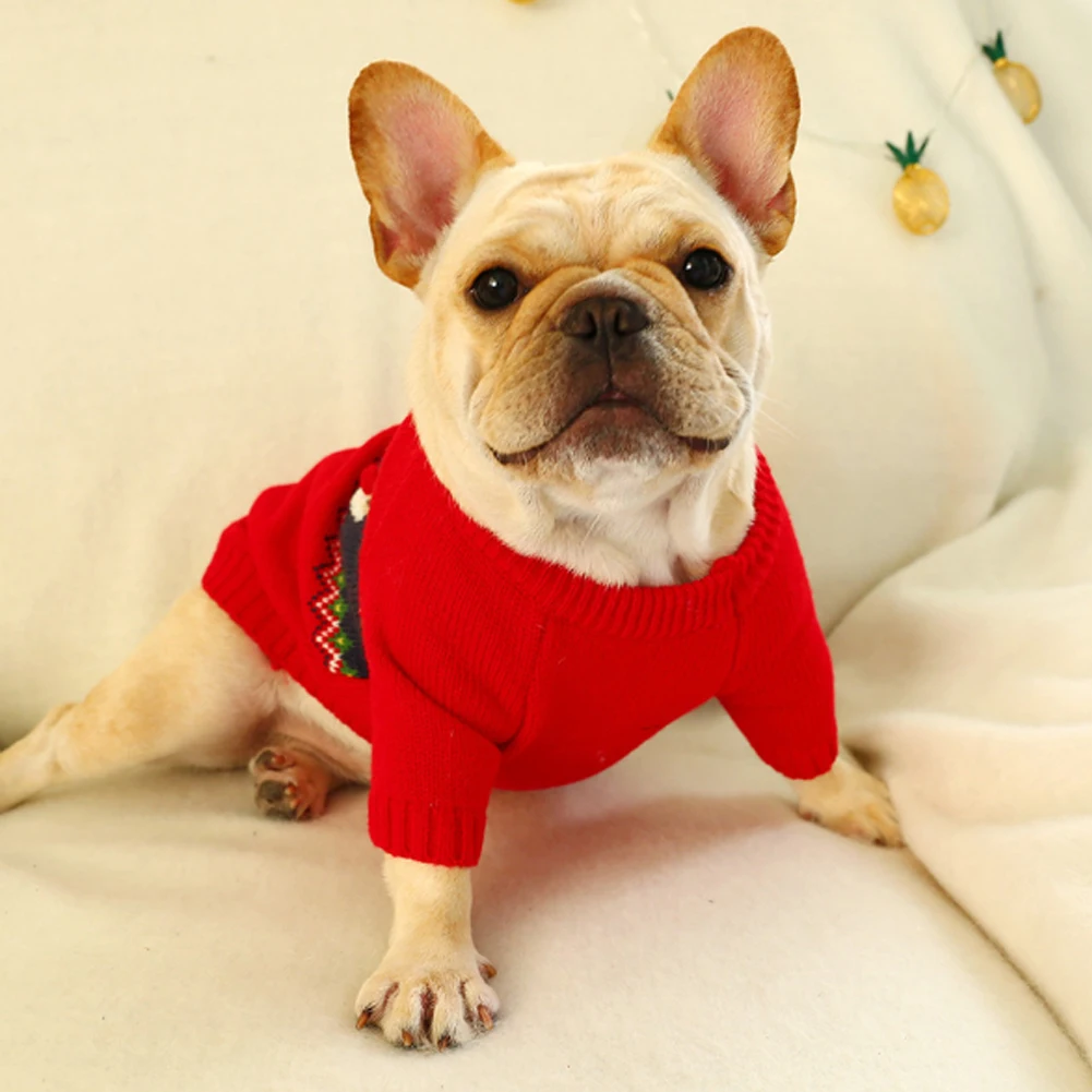 frenchie jumpers
