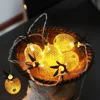 Hot Selling Warm White 15ft 20 Battery Operated LED Pineapple Fairy String Lights