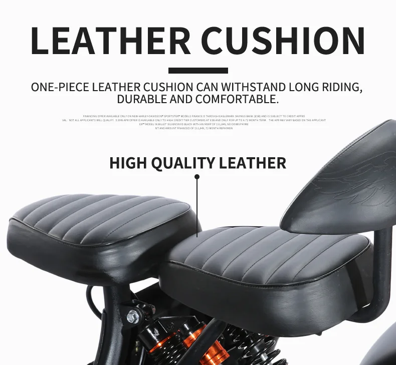 three wheels EEC electric scooter