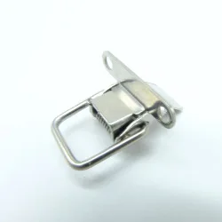 watch steel buckle
