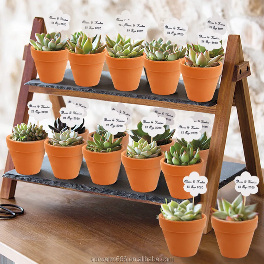 Ourwarm China Outdoor Garden Supplies Manufacturer Small Plant Flower