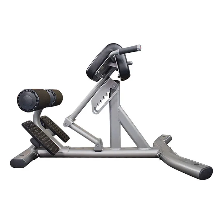 Commercial Gym Equipment Back Extension Machine / Roman Chair Fitness Equipment Buy A Back