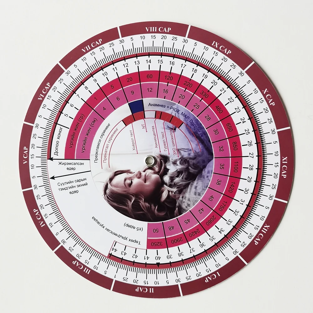 Plastic Pregnancy Wheel Due Date Calculator For Pregnant Patients Designed For Ob Gyn Doctors