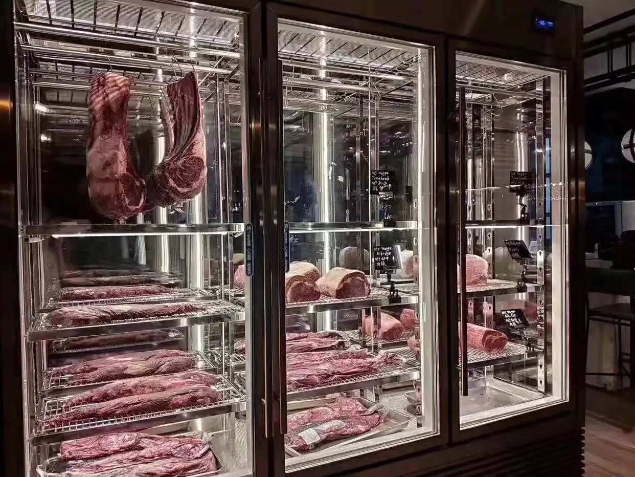 Newest Design Vertical Beef Fridge Dry Aging Refrigerator Refrigeration