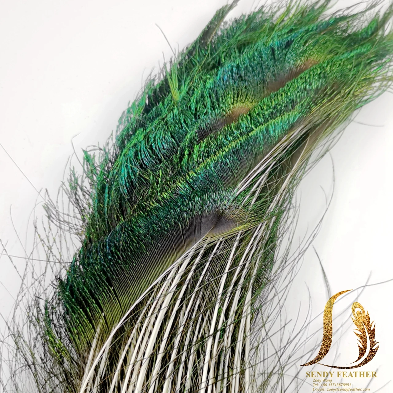 天然孔雀の剣はフライタイのための卸売孔雀の羽をカットします Buy フライイング羽 孔雀剣 羽ジュエリーメイキングのために Product On Alibaba Com