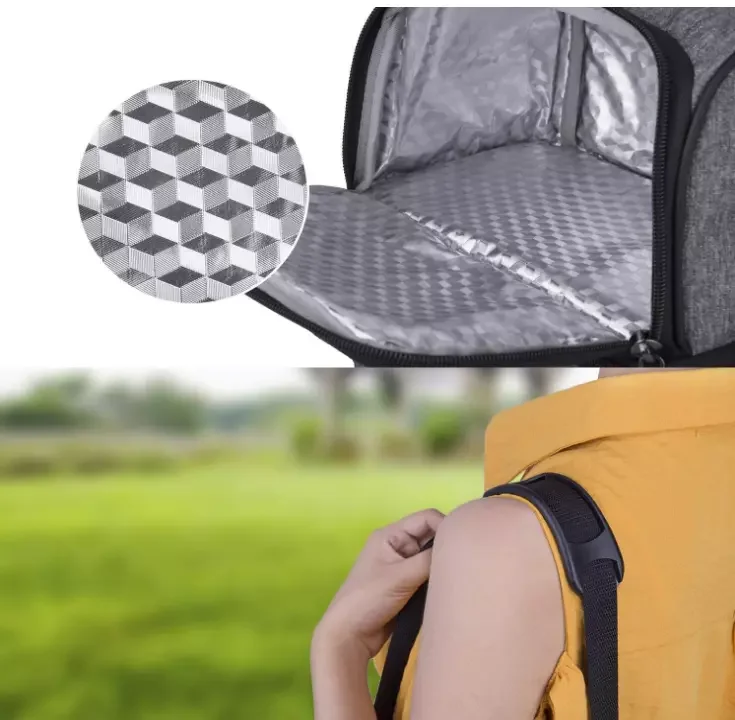 women lunch bag