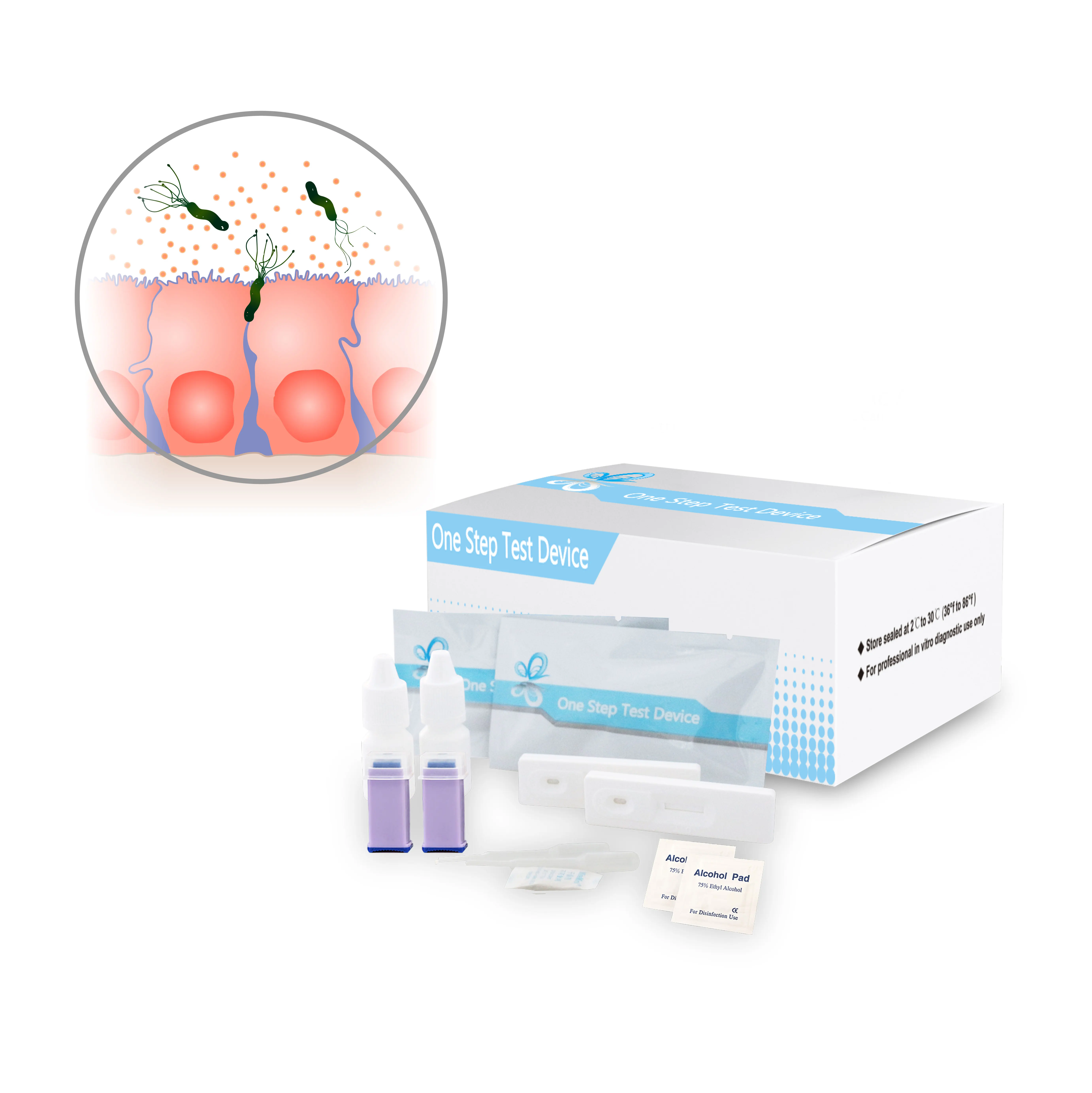 Rapid Test Strip Helicobacter Pylori Bacteria Bacterial Detection Kit Buy Bacterial Detection