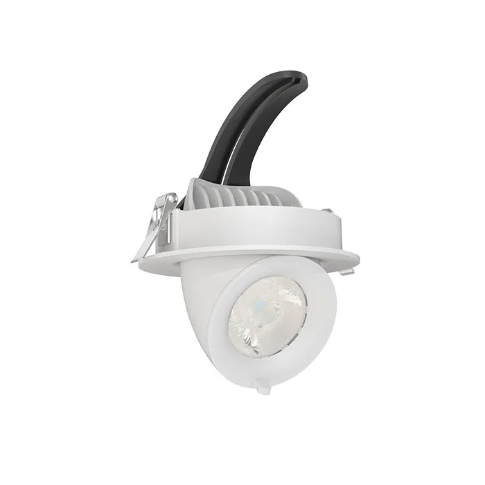 Adjustable surface LED down light with wall dimmer for commercial site use