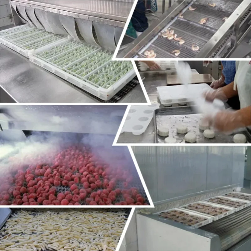 IQF Tunnel Freezer | Blast Freezing Machine for Shrimp, Meat, Poultry ...