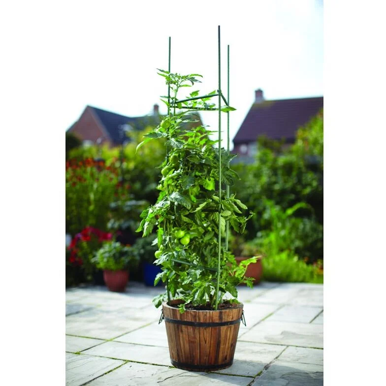 Green Tomato Trellis Sticks Plant Support Tomato Cage Planter Climbing