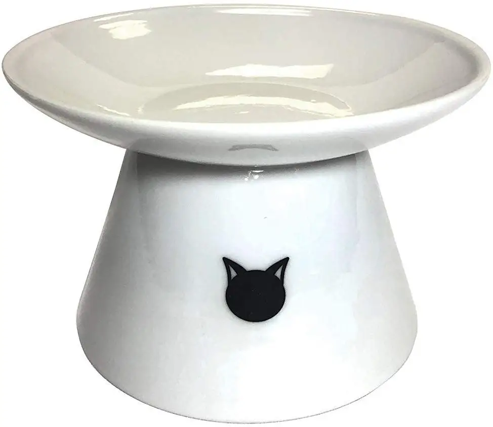 Cat dish