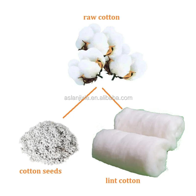 Lint Cotton Machine / Full Automatic Cotton Seed Separating Machine