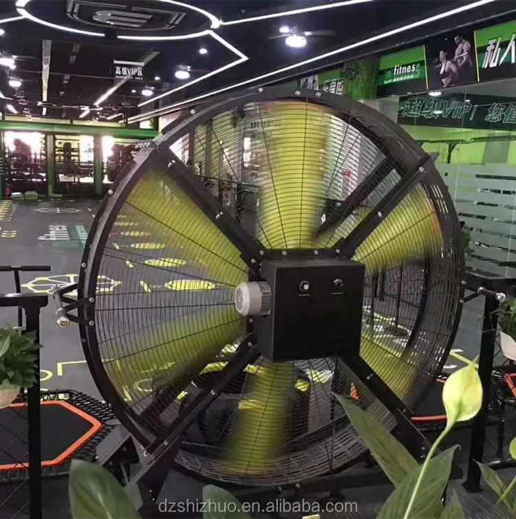 Good Price High Quality Energyefficient Gym Big Movable Standing