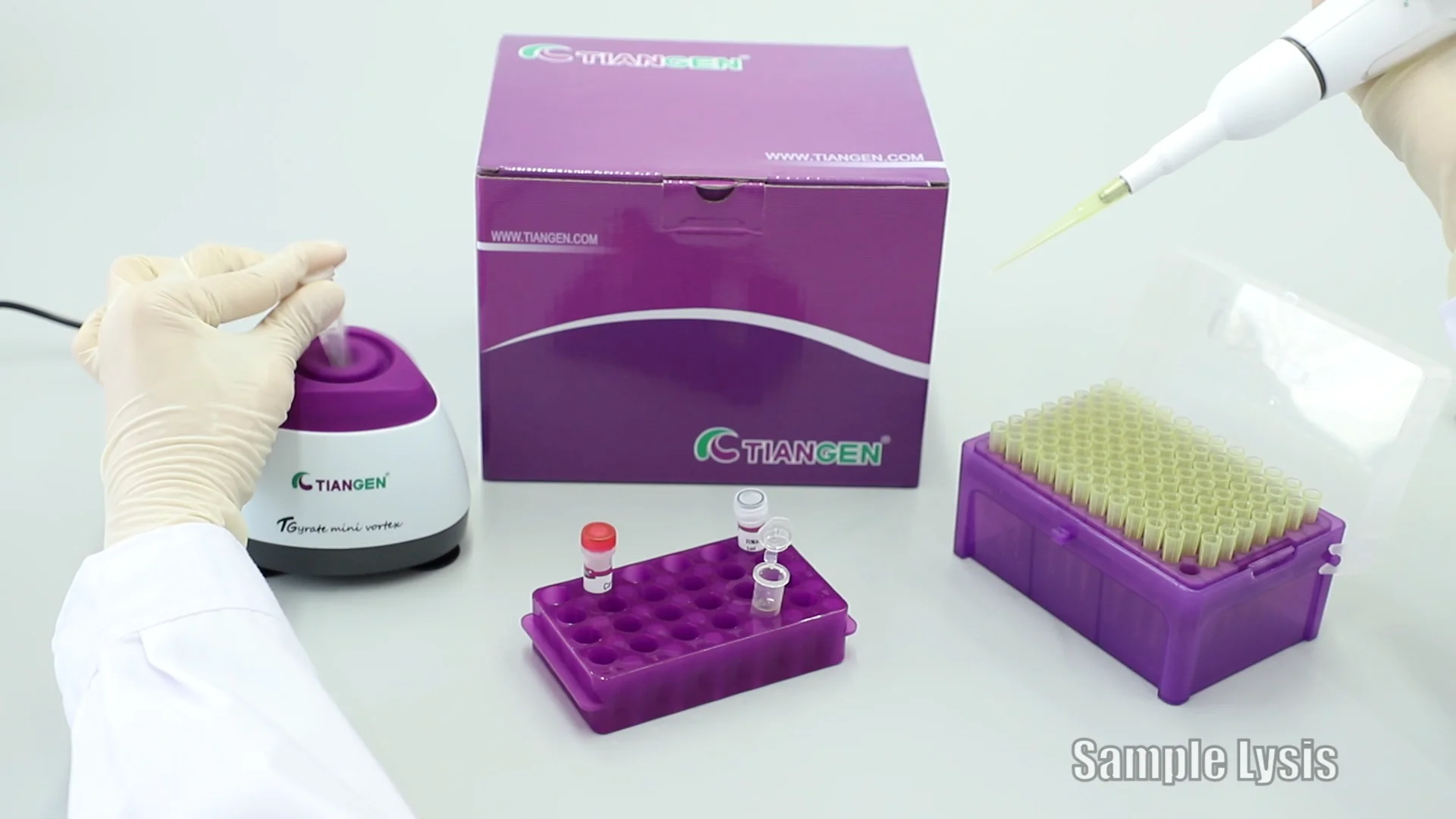 Trace Amount Of Total Rna Isolation Extraction Kit Spin Column Based