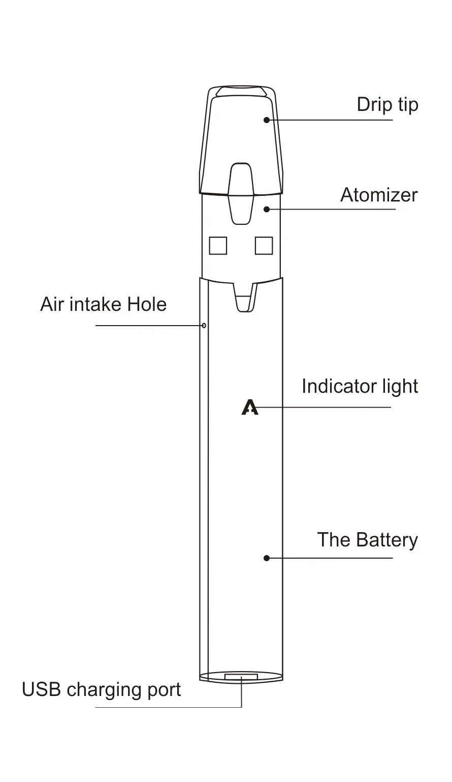 AIERBAITA ALPHA 1_1.jpg