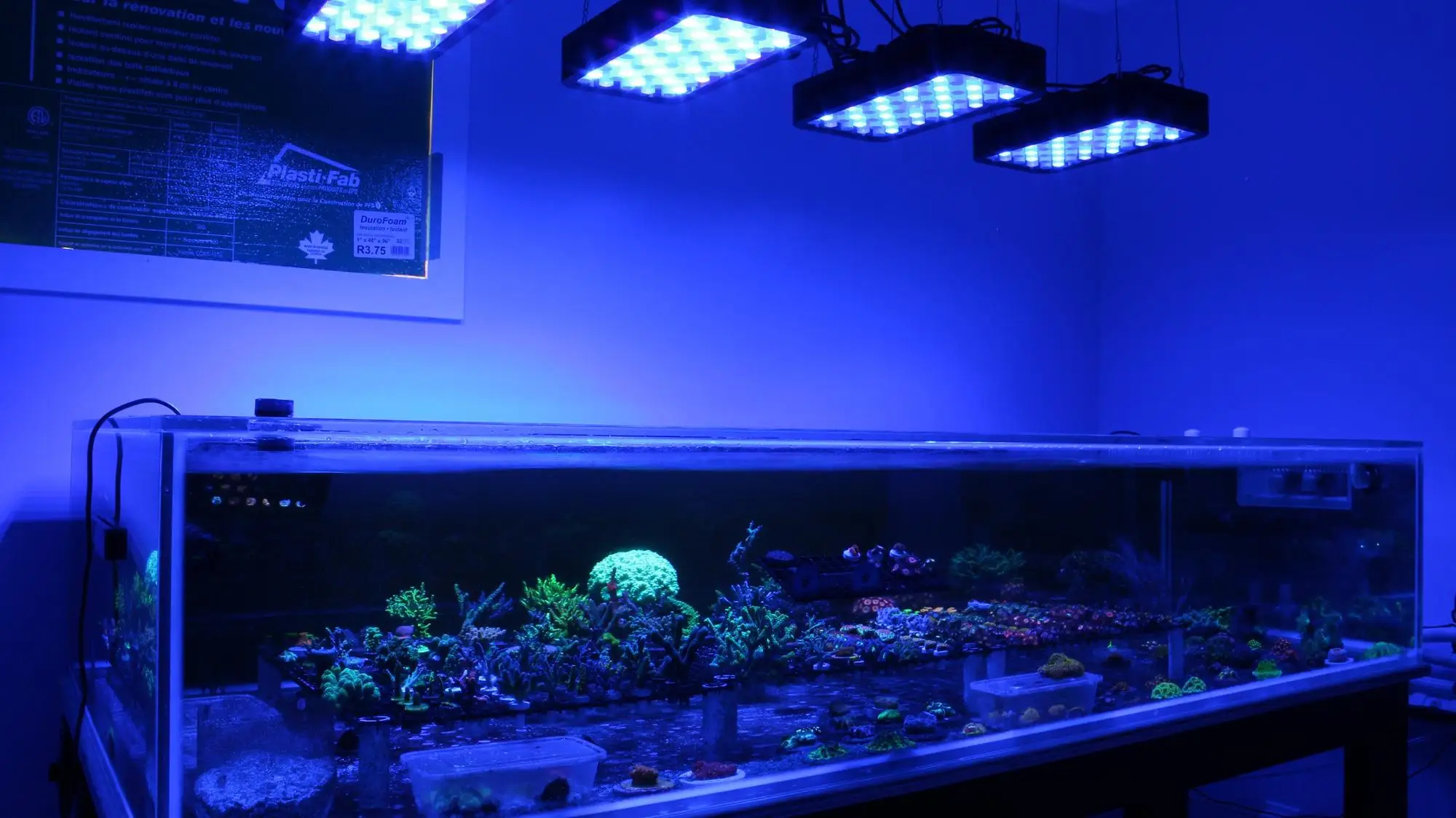 marine aquarium light