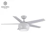 New Style DC Motor Decorative 5 Speed 48 Inch Ceiling Fan Light With Remote Control Switch