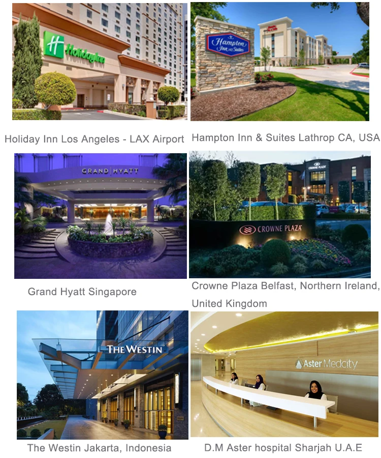 pull rosette handle grab bar