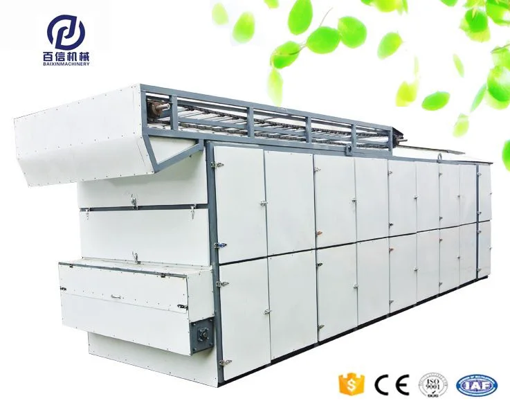 Belt Conveyor Dryer