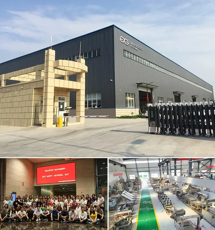 Manufacture Frozen Fruits And Vegetables Volumetric Making Frozen Fruit