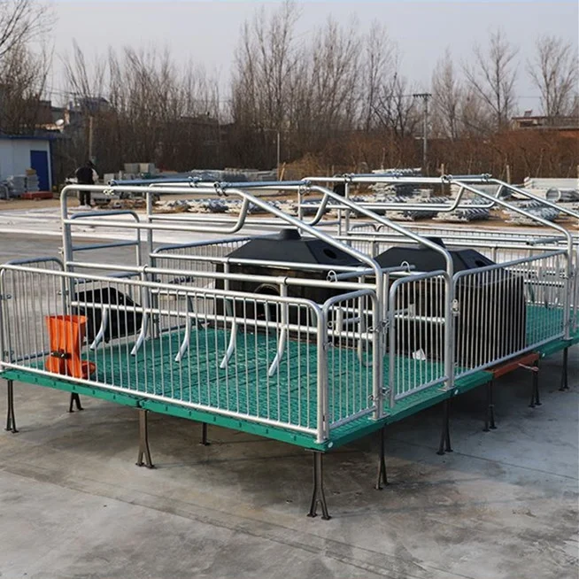 How To Make Pig Equipment Piggery Litter Box Pig Farmer Poultry Cage