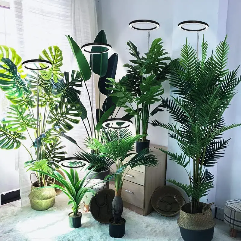 product 6 inch angel ring led indoor plant growth light fleshy green aluminum flower smd source 3000k color for sun growing-9