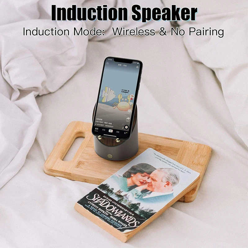 induction speaker